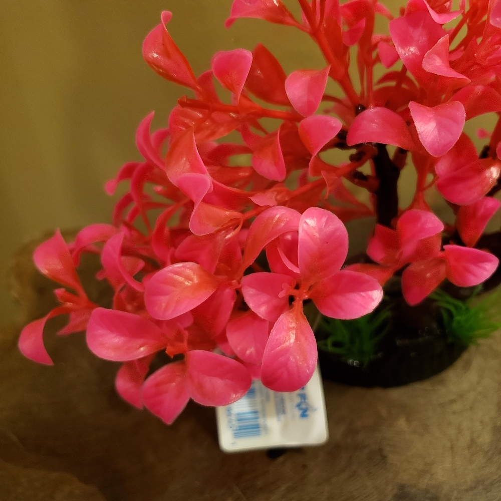 Top Fin Aquarium Plants Pink - Picture 6 of 12
